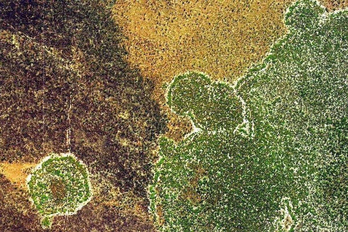 An aerial view showing distinctive green vegetation circles against a brownish background.